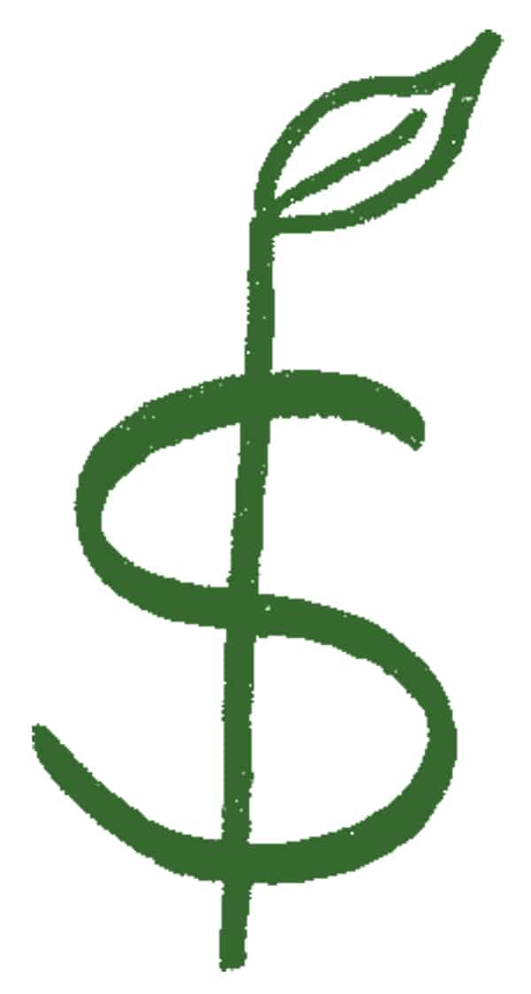coaching fees
